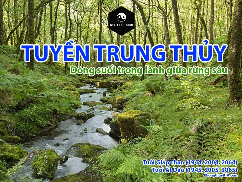 Hinh anh minh hoa menh tuyen trung thuy cua nguoi sinh nam 2004 menh gi